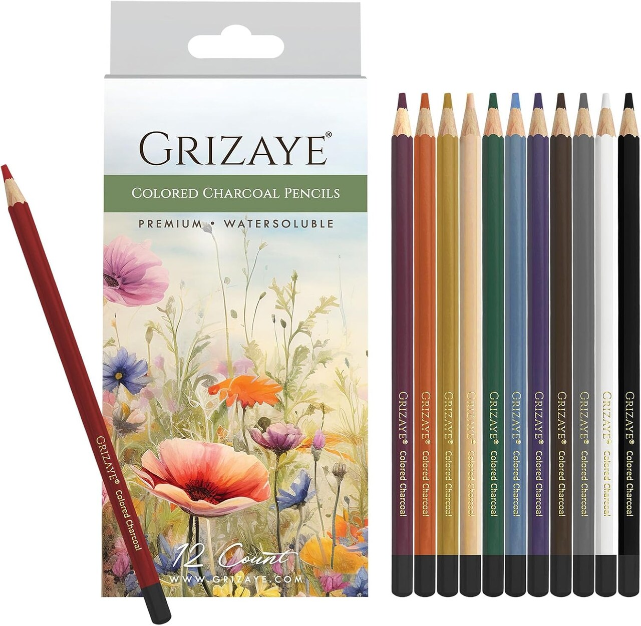 Charcoal Pencils, Set of 12 Premium, Watersoluble for Vivid Colors